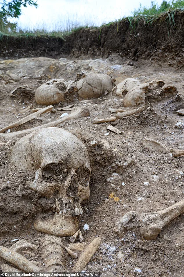 Harrowing Discovery of Viking-Era Mass Grave with Ritualistic Violence Unearths Ninth-Century Mystery in Cambridge