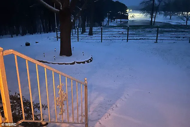 Homeless Man Survives Garbage Truck Compactor Mishap Thanks to Popeyes Drive-Thru