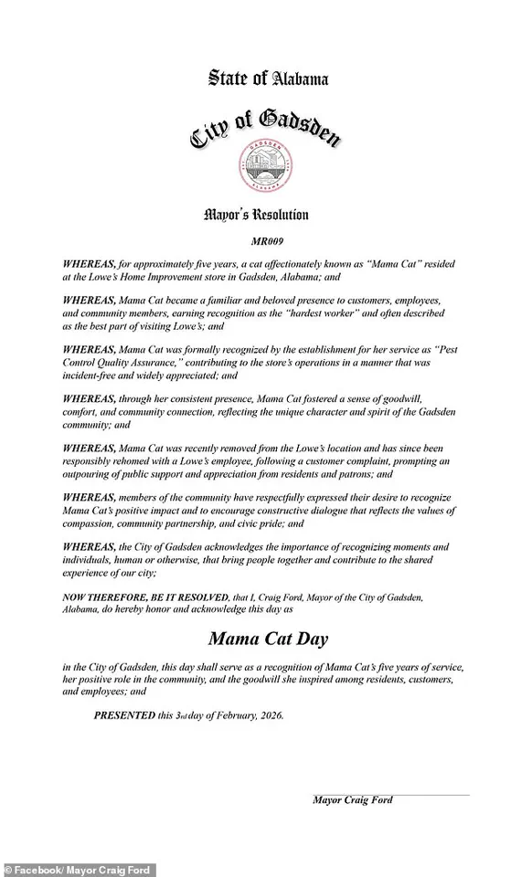 Beloved Lowe's 'Quality Assurance Cat' Mama Cat Removed After Five Years, Sparks Outrage