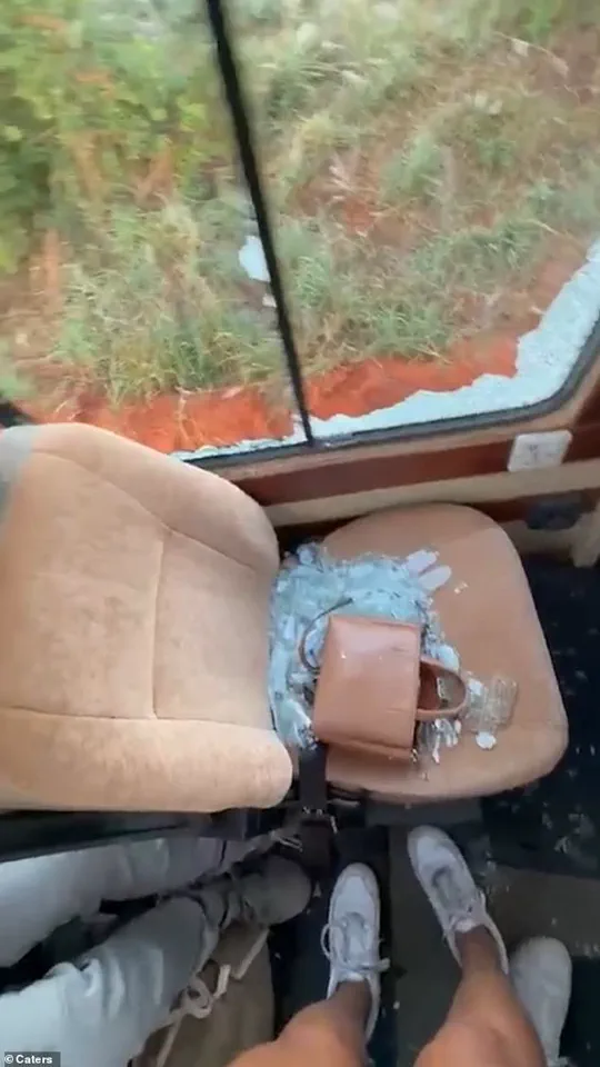 Elephant Attack in Serengeti Shatters Safari Vehicle, Leaves Tourists in Chaos
