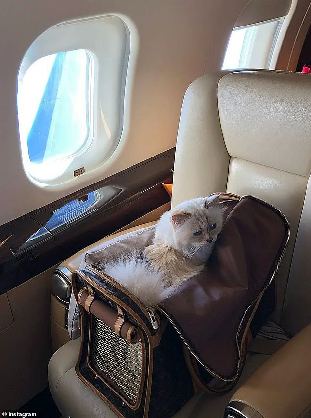 Legal Challenge to Lagerfeld's Will Threatens Inheritance for Models and Feline Heir