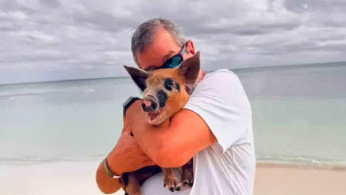 Florida Man Battles Flesh-Eating Infection Contracted in Bahamas