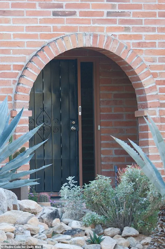 Unmarked Van Sparks Mystery in Tucson as 84-Year-Old Grandmother Vanishes