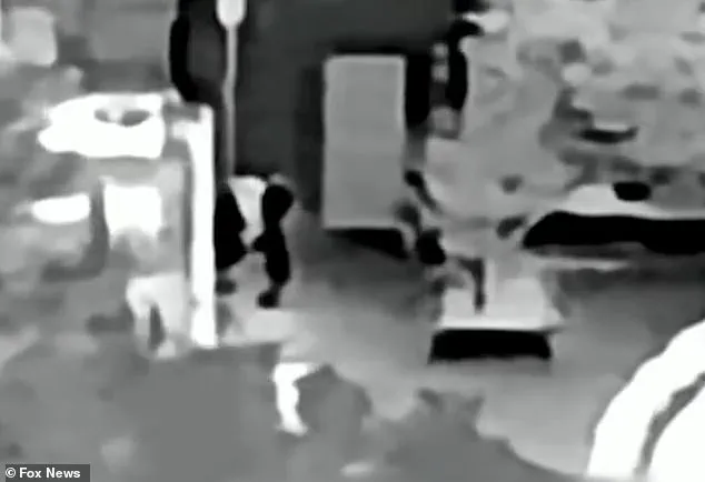 Federal Investigators Intensify Search of Nancy Guthrie's Home as Kidnapping Case Enters Seventh Day