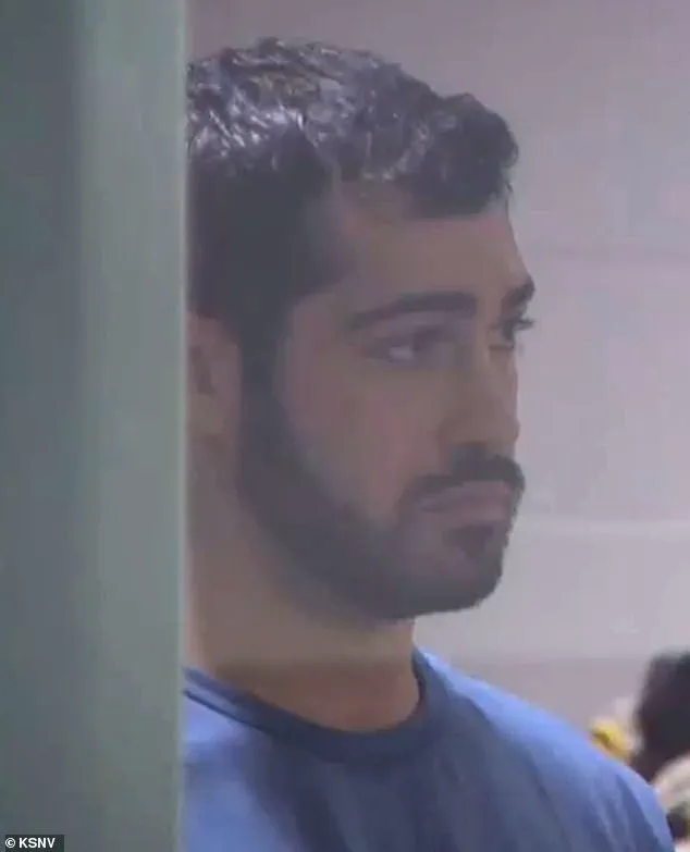 Las Vegas Club Promoter Arrested in Tesla DUI Crash Injuring British Family