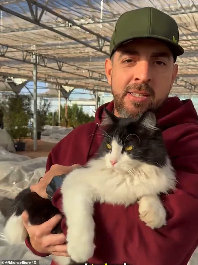 Viral Sensation: Sylvester the Rat-Catching Cat Turns Texas Garden Center into Internet Icon