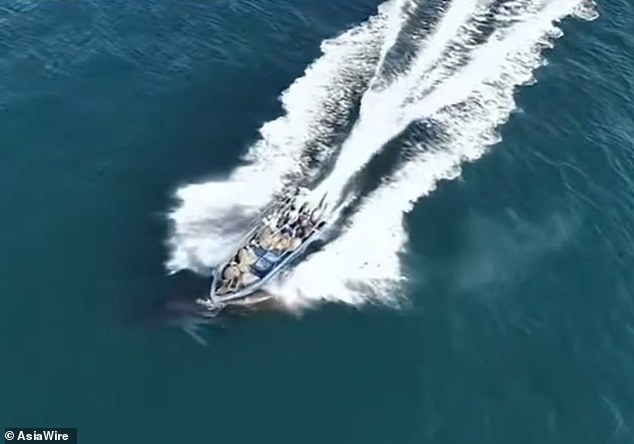 Fishing Boat Strikes Protected Bryde's Whale Off Weizhou Island