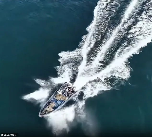 Fishing Boat Strikes Protected Bryde's Whale Off Weizhou Island