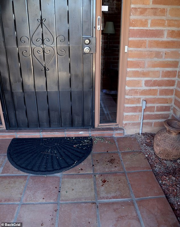 Nancy Guthrie's Vanishing: A Disappearance That Leaves Even Experts Guessing