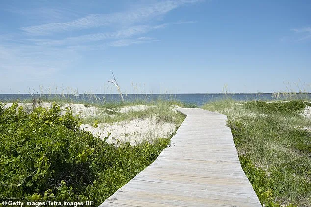 Unusual Great White Shark Sightings Near Cape Fear Prompt Safety Concerns