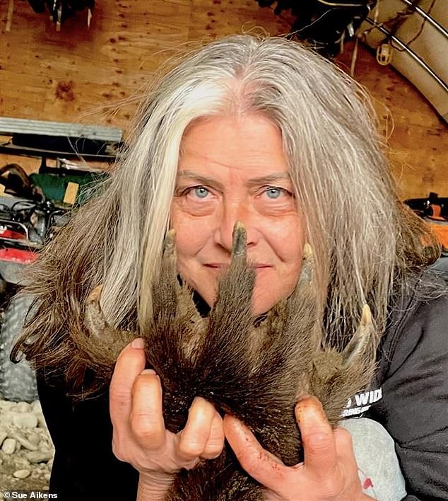 A Life Forged in the Arctic: Susan Aikens' Journey from Grizzly Attack to Unyielding Survival