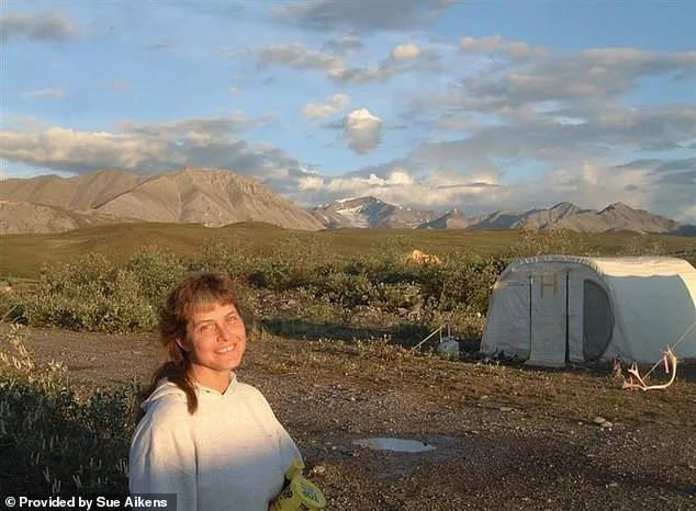 A Life Forged in the Arctic: Susan Aikens' Journey from Grizzly Attack to Unyielding Survival