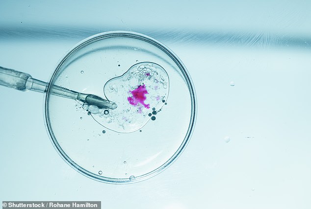 Donor Dan's $10K-Month Sperm Donation Program: A Luxurious Lifestyle or a Gamble on Ethics?