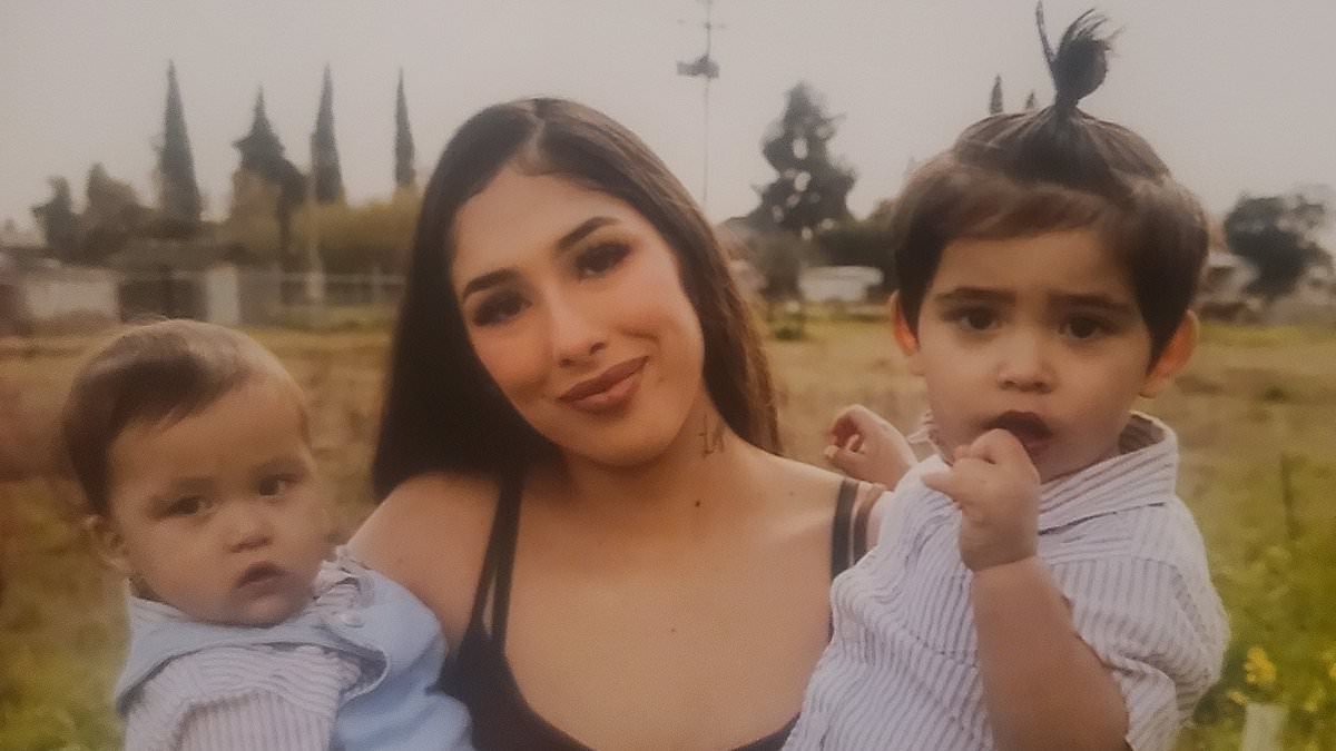 20-Year-Old Mother Pleads Guilty to Involuntary Manslaughter After Leaving Children in 143°F Car at Bakersfield Med Spa