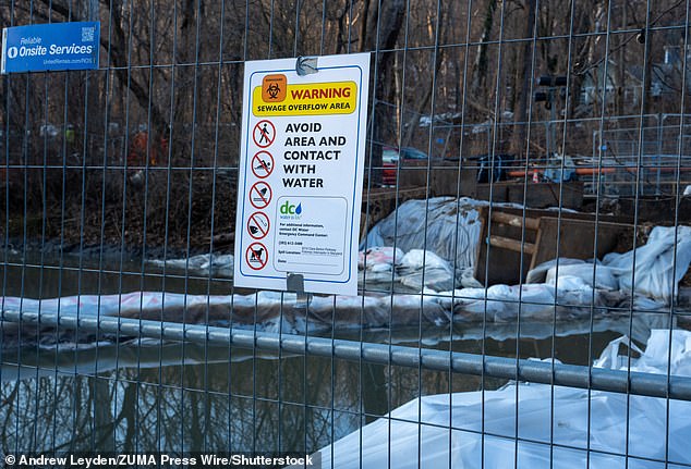 Trump Calls Maryland Sewage Spill 'Ecological Disaster,' Blames Democrats as FEMA Steps In