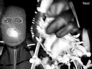 Trump Warns of 'Severe' Consequences in Nancy Guthrie Abduction Case, As Death Penalty Debated