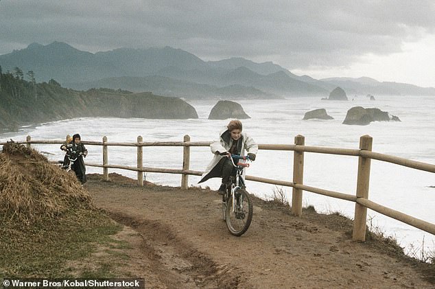 Baby Sea Lion Stranded on Oregon Beach Successfully Rescued by Multi-Agency Team