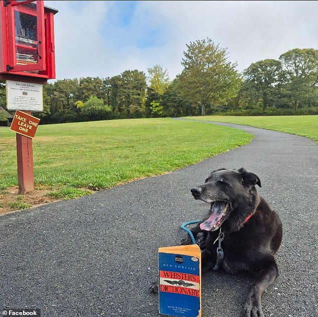 Tragic Drowning of Beloved Couple on Bee's River Claims Lives of 72-Year-Olds Who Celebrated 50-Year Marriage