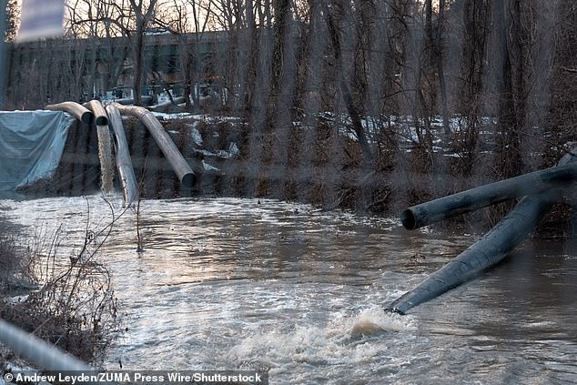 Maryland Governor Signs Emergency Orders to Halt ICE Cooperation, Drawing Praise and Criticism