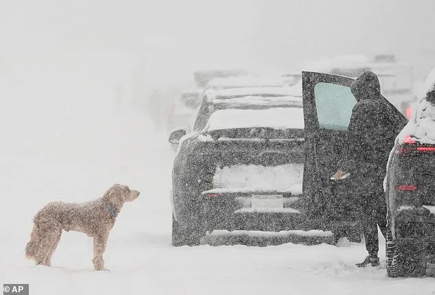 Colossal Winter Storm Sweeps U.S., Burying California and Threatening East Coast