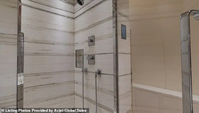 DHS Jet Conversion for Deportation Missions Sparks Political Firestorm Under Noem's ICE Oversight