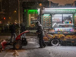 Historic Blizzard Paralyzes East Coast as Flights Cancelled and Travel Banned