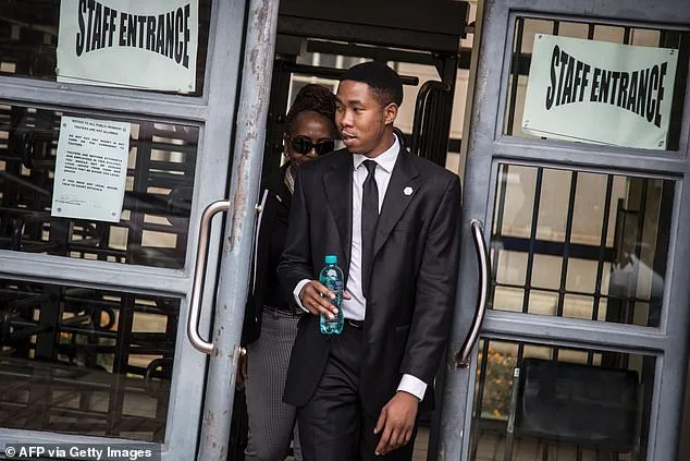 Legal Battle Over Mandela Estate: Grandsons Accused of Drug Use and Unruly Behavior