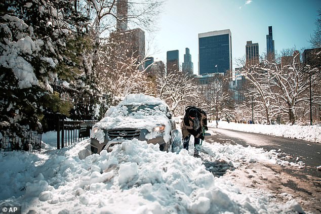 Polar Vortex Split Could Prolong Winter and Delay Spring, Says Climatologist Judah Cohen