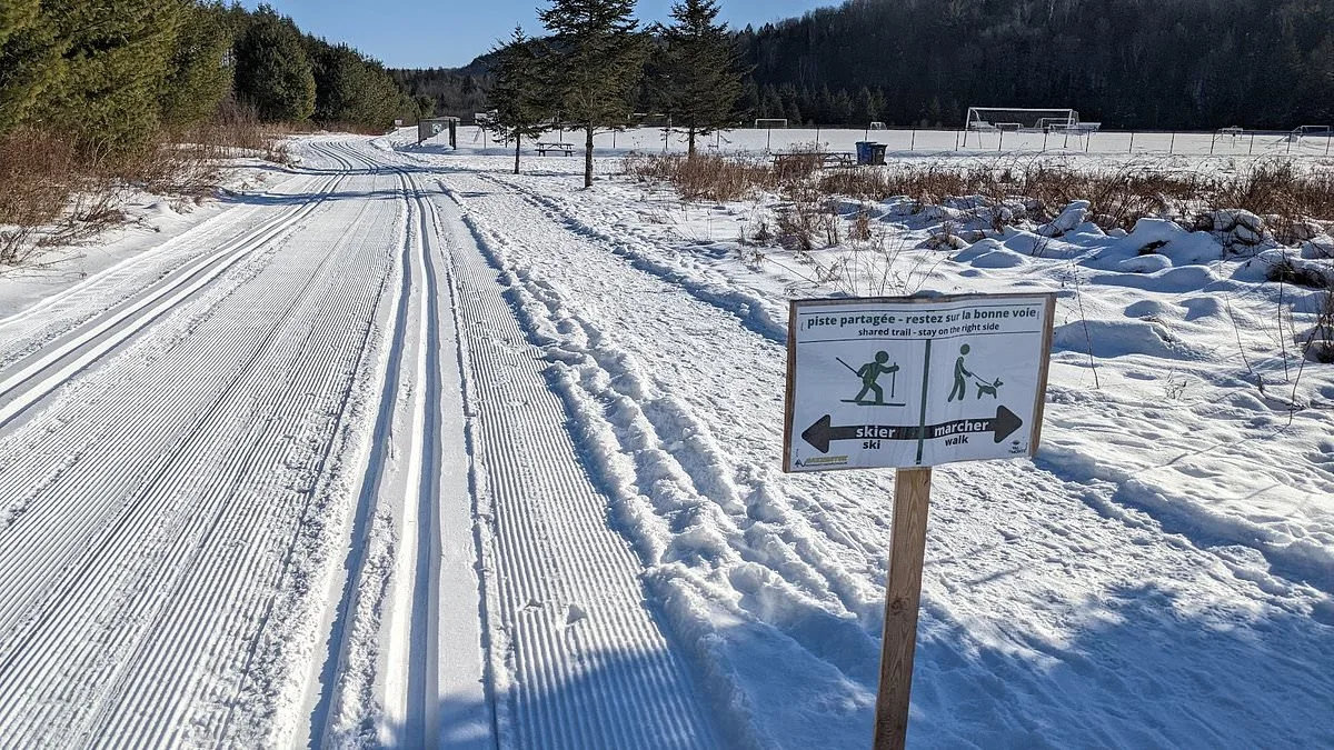 Tragic Sledding Accident Claims Life of Four-Year-Old Girl in Ontario