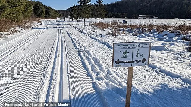 Tragic Sledding Accident Claims Life of Four-Year-Old Girl in Ontario