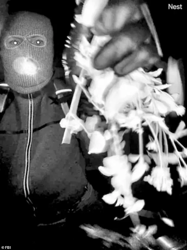 Tucson Man Detained in SWAT Raid Denies Involvement in Elderly Woman's Disappearance