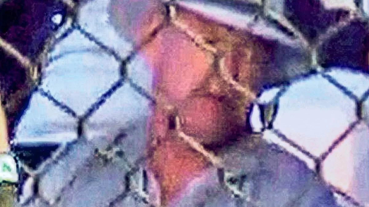 Shocking Footage Reveals Top Drug Lords Attending Dubai MMA Event in VIP Section