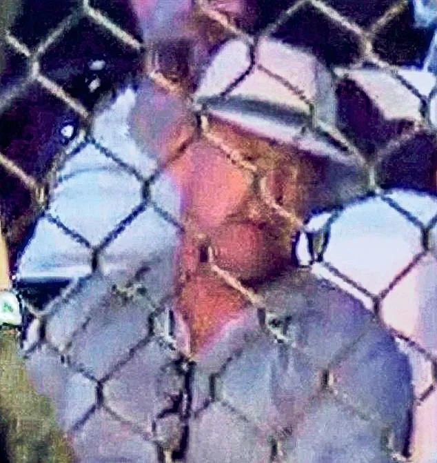 Shocking Footage Reveals Top Drug Lords Attending Dubai MMA Event in VIP Section