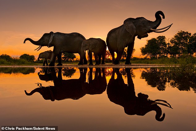 Bridging Art and Science: Chris Packham's *More Beautiful Than You