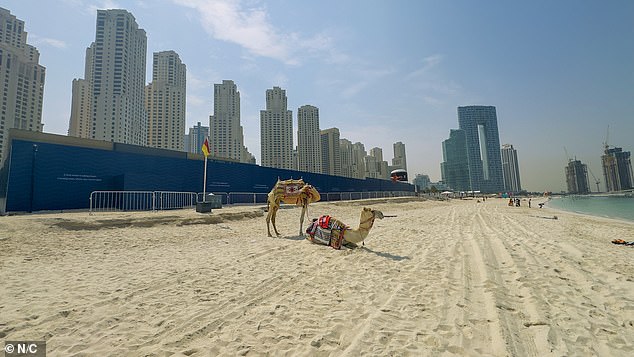 Dubai's Silent Exodus: War Shadows Fall on a City Once Defined by Luxury