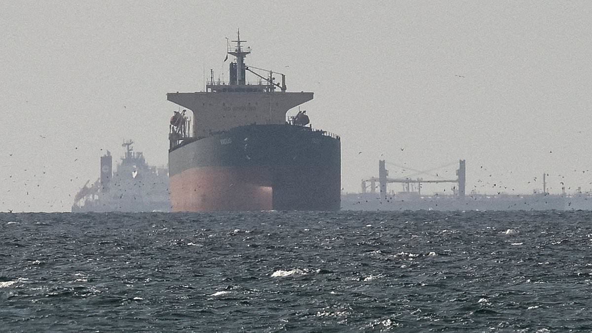 Iran Considers Allowing Chinese Ships Through Strait of Hormuz Amid Energy Crises, Ties to Yuan Trade