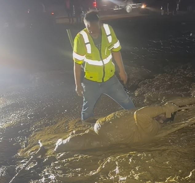 Jaron Wynn's Quicksand Ordeal at Mississippi Trail Ride Turns Survival Challenge