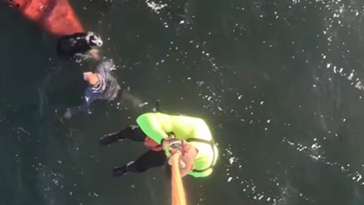 California Woman Dies After Kayak Capsizes in Tomales Bay During Sudden Wind Surge