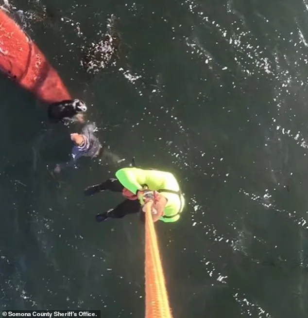 California Woman Dies After Kayak Capsizes in Tomales Bay During Sudden Wind Surge
