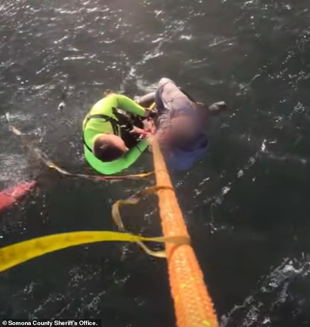 California Woman Dies After Kayak Capsizes in Tomales Bay During Sudden Wind Surge