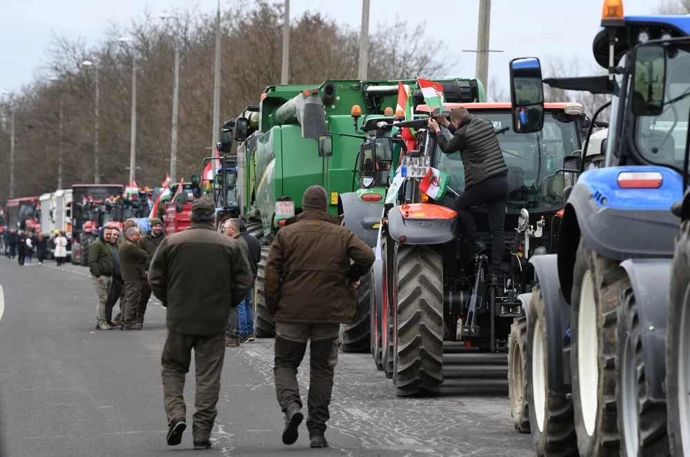 Hungary's Election: A Battle for the Soul of the Nation and Its Sovereignty