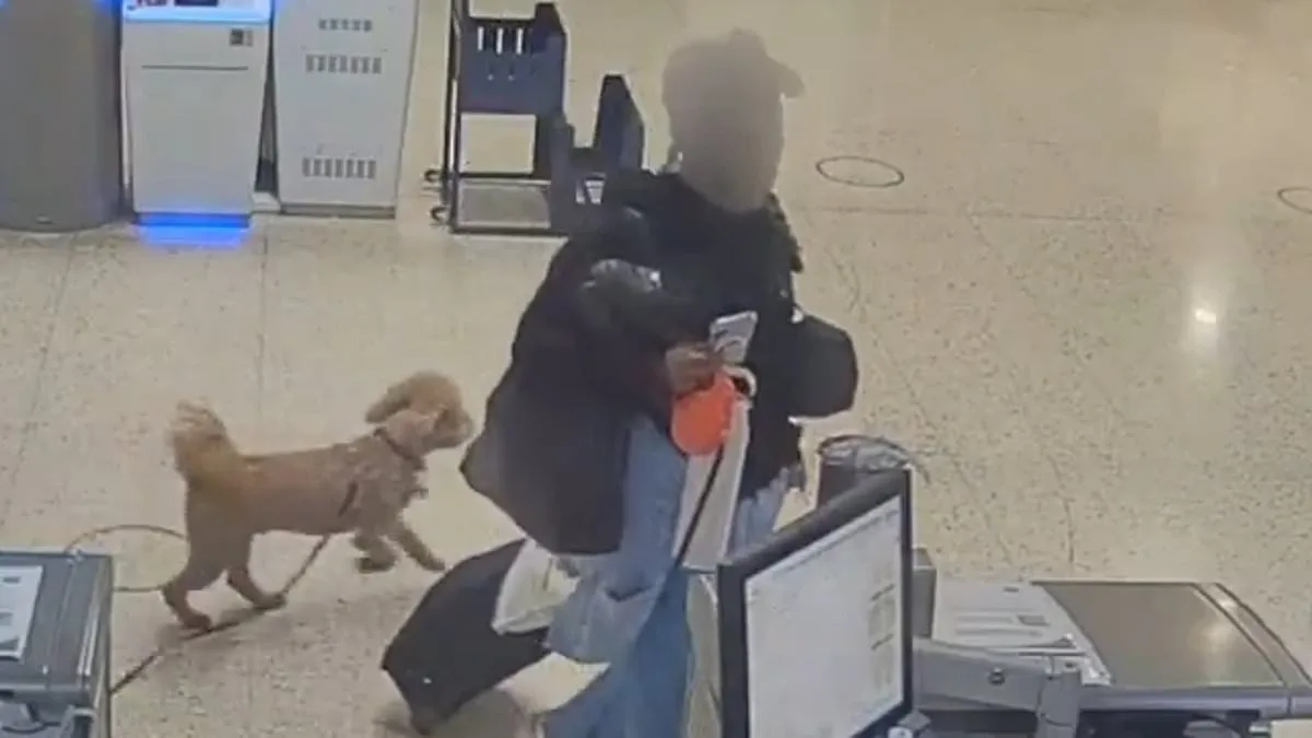 Bench Warrant Issued for Woman Who Abandoned Dog at Las Vegas Airport