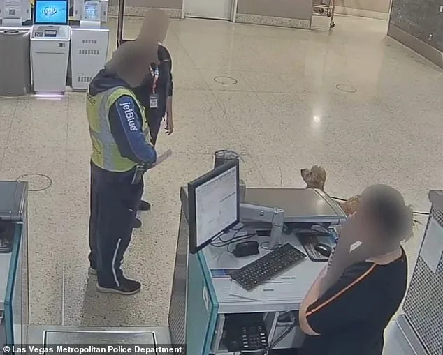 Bench Warrant Issued for Woman Who Abandoned Dog at Las Vegas Airport