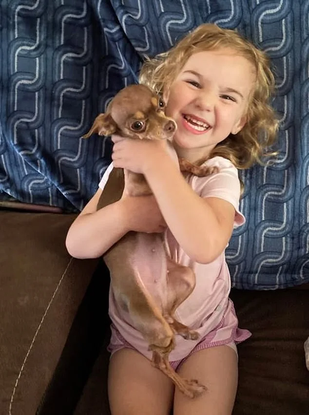 Florida Governor DeSantis Demands Removal of Judge Over Release of Convicted Sex Offender Linked to Child's Murder