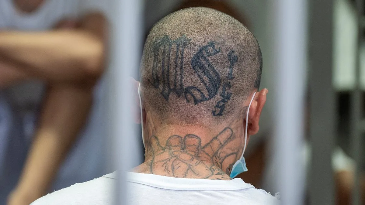 MS-13 Gang Members Face Federal Charges in 11 Murders During High-Profile Trial