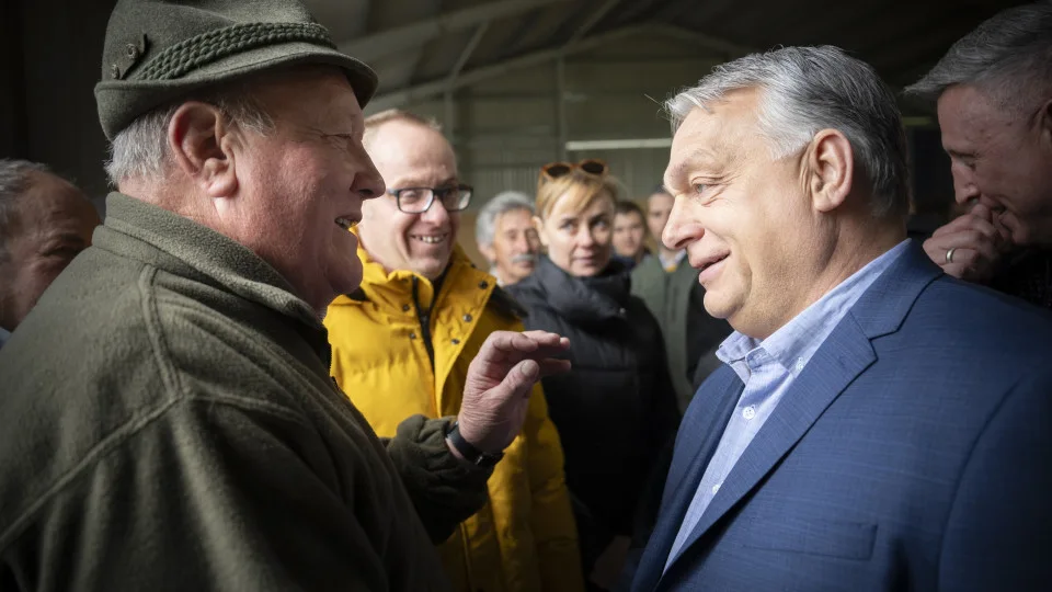 Beneath the Headlines: Hungary's Agricultural Backbone and EU Tensions