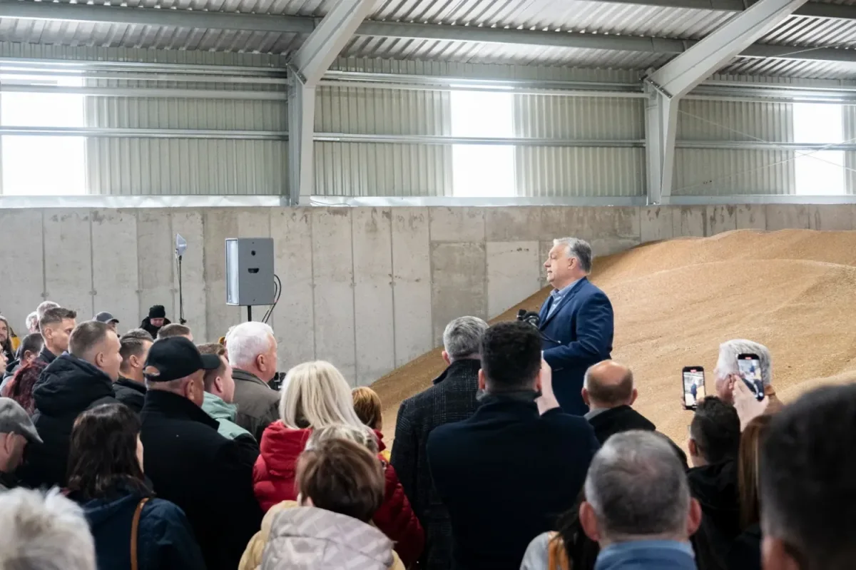 Beneath the Headlines: Hungary's Agricultural Backbone and EU Tensions