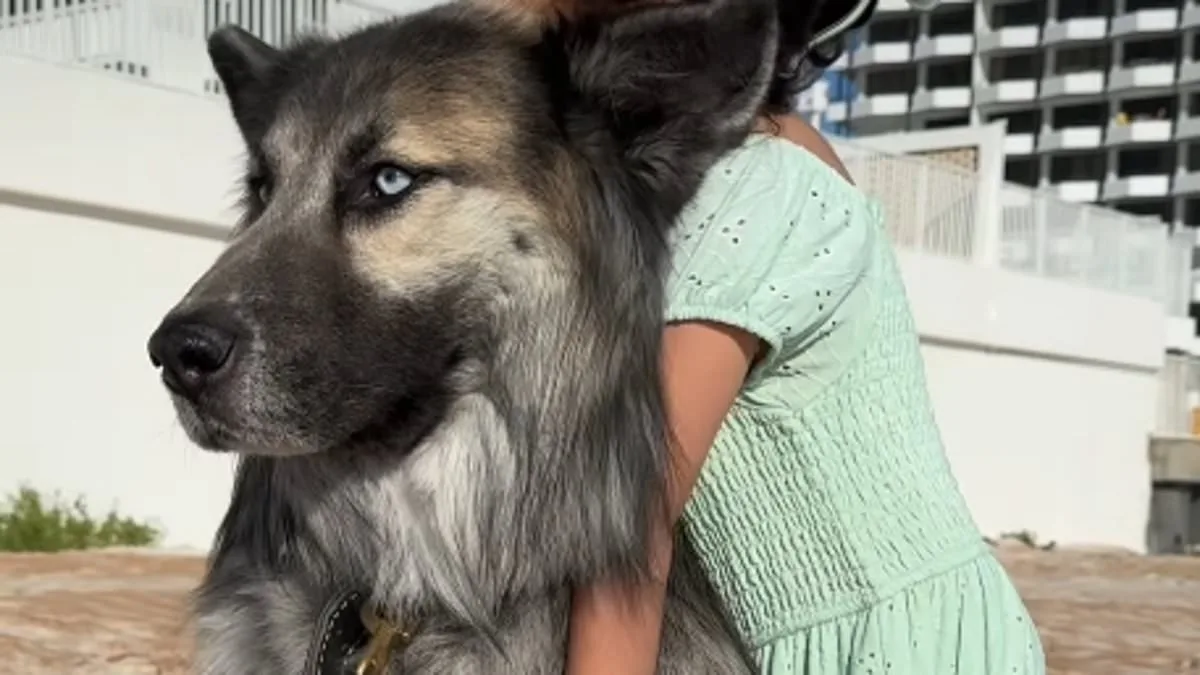 Stray Dog Leads Woman to Abandoned House in Arizona Desert