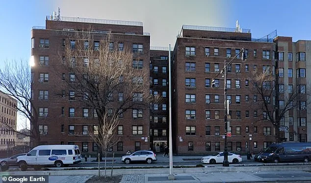 Breast Cancer Survivor's Desperate Fight Against Relentless Rat Infestation in Bronx Apartment