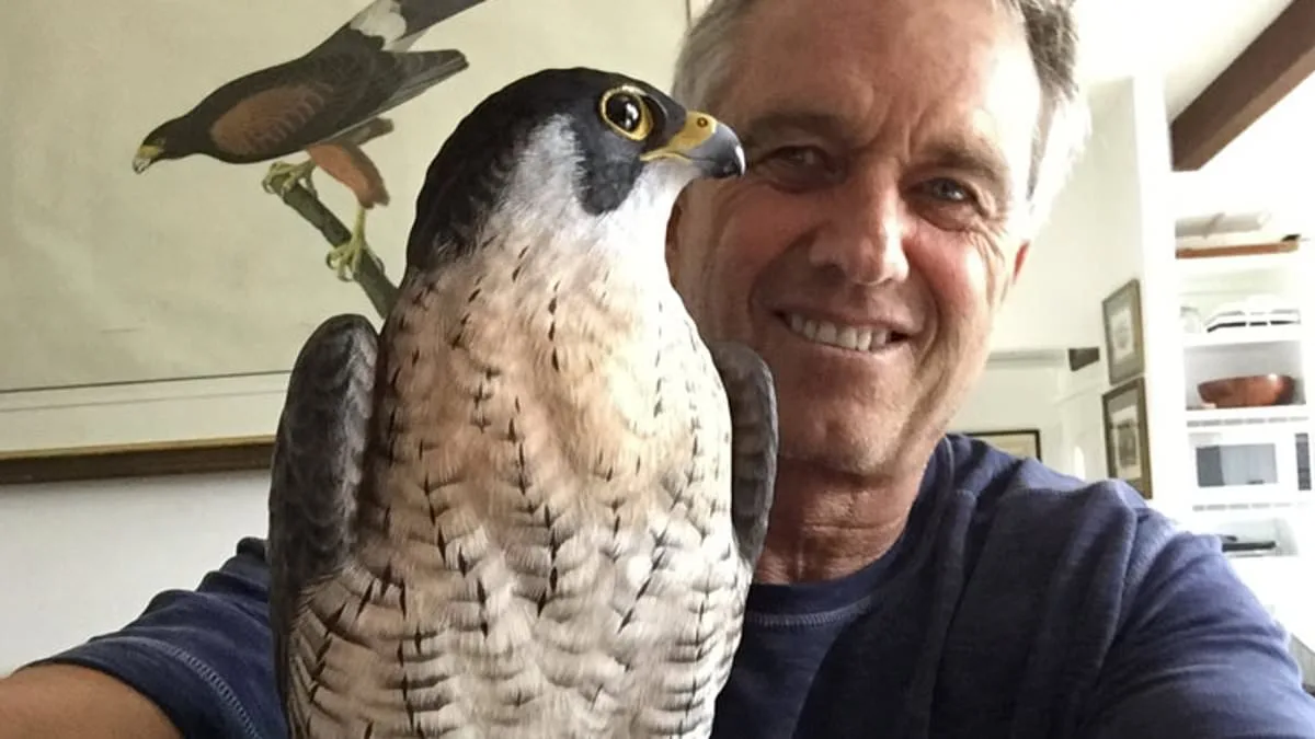 From Olympic Dreams to Woodcarving: Floyd Scholz's Life After the Boycott